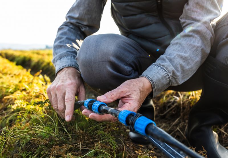 Irrigation Repair